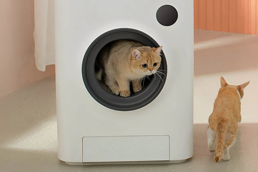 top rated litter box