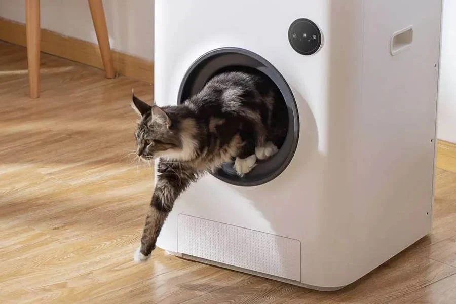 toilet for cats