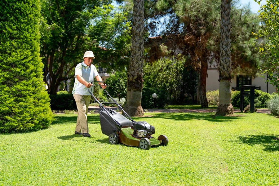 what is the best cordless lawn mower