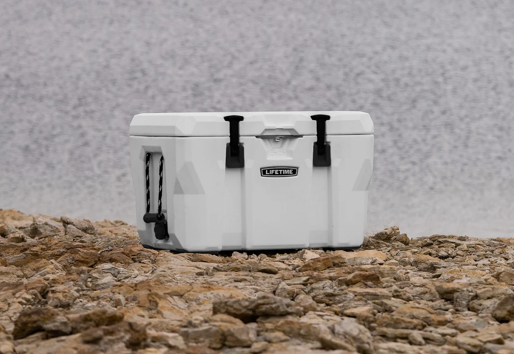 portable outdoor beverage cooler