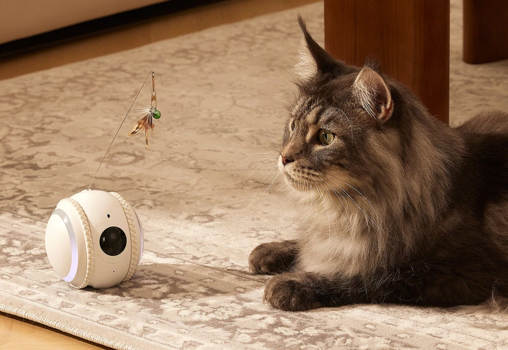 best indoor camera for watching pets