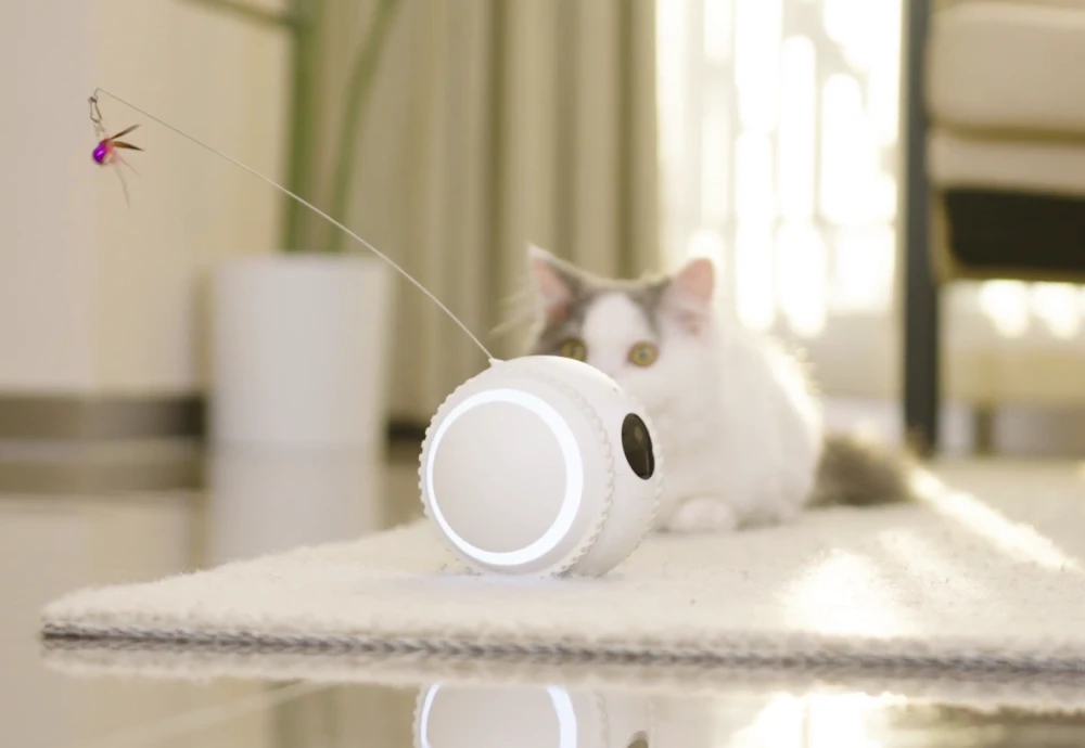 interactive pet camera