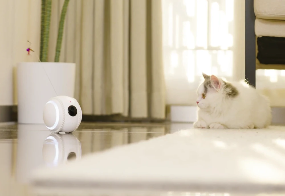 robot camera for pets