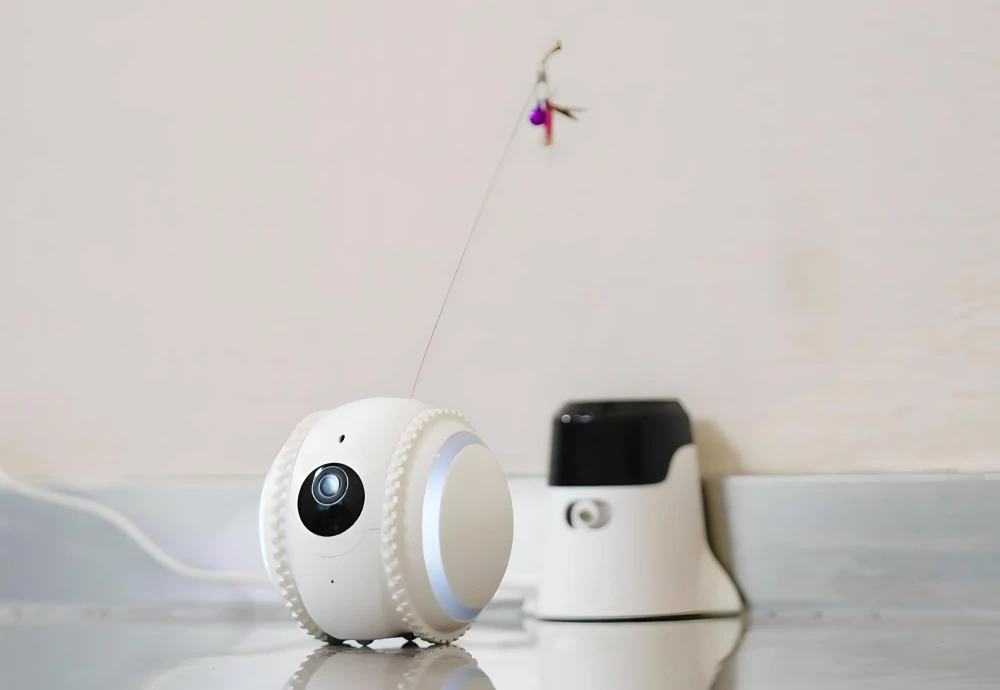 robot camera for pets