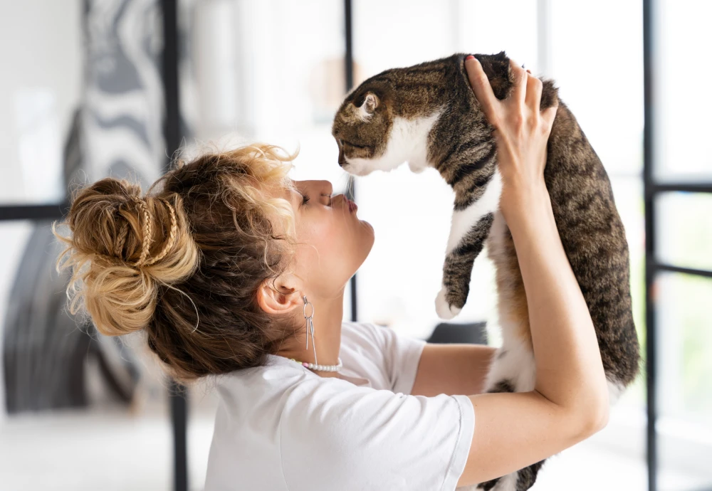 robot camera for pets