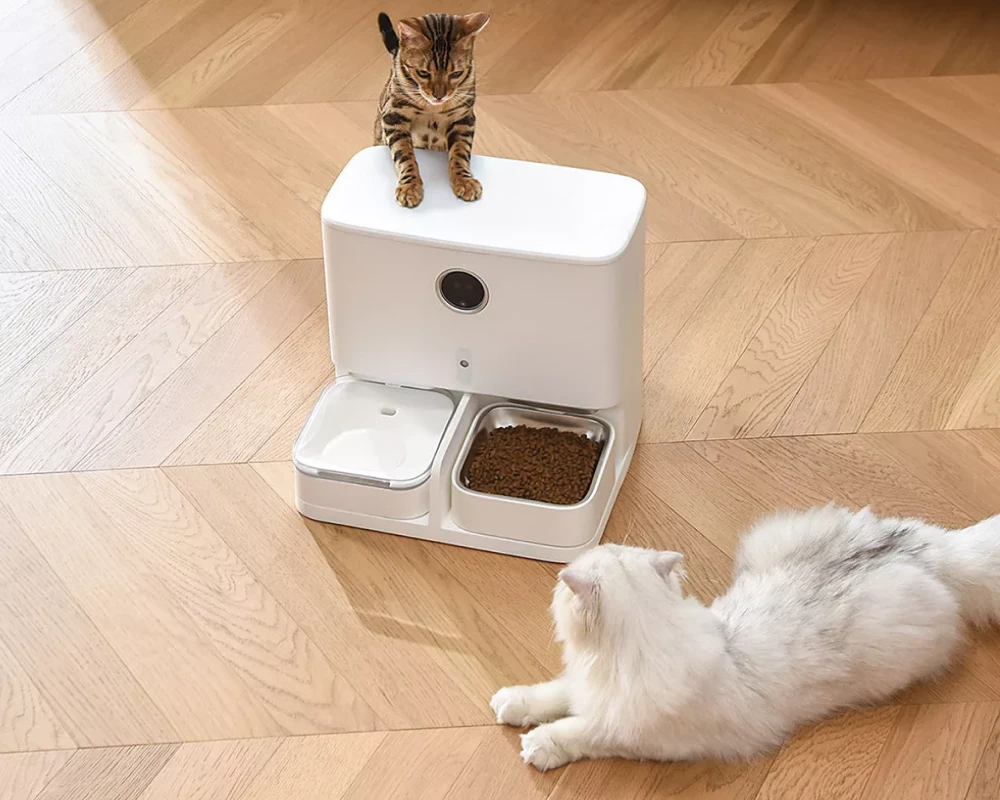 automatic pet feeder for multiple cats